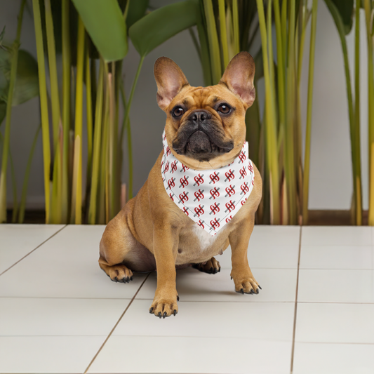 bandana